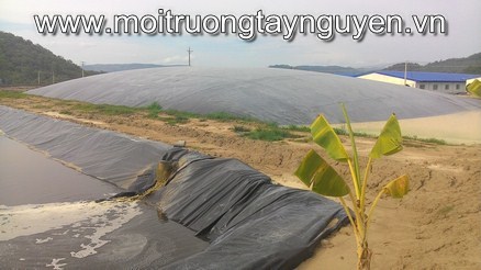 Xử lý nước thải chăn nuôi xu_ly_nuoc_thai_chan_nuoi