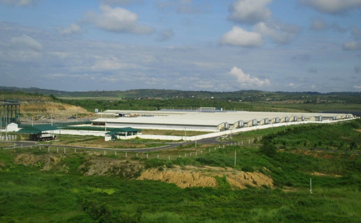 Trại heo của Cty Green Farm Asia xả thải ra suối Ea Dier